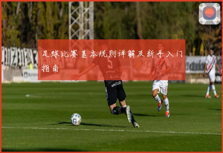 足球比赛基本规则详解及新手入门指南